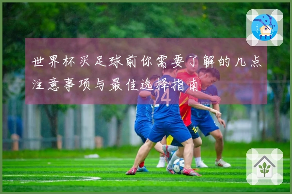 世界杯买足球前你需要了解的几点注意事项与最佳选择指南