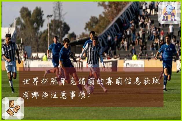 世界杯冠军竞猜前的赛前信息获取有哪些注意事项？