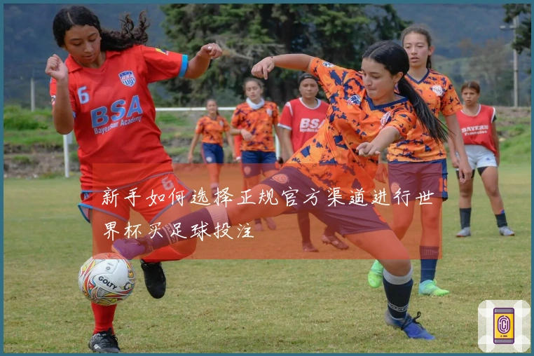 新手如何选择正规官方渠道进行世界杯买足球投注
