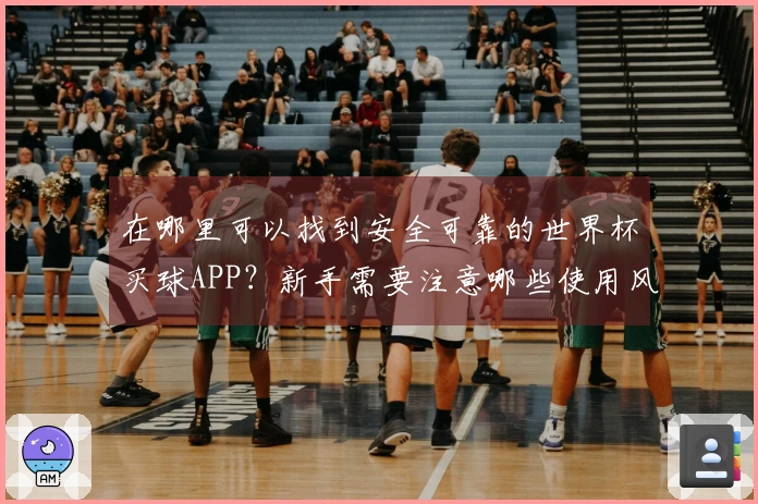 在哪里可以找到安全可靠的世界杯买球APP？新手需要注意哪些使用风险