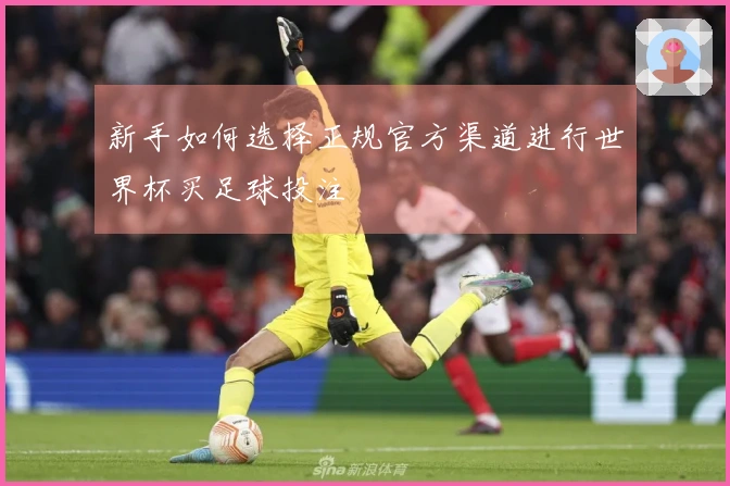 新手如何选择正规官方渠道进行世界杯买足球投注