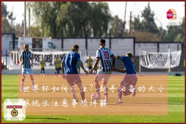 世界杯如何下注？新手必备的大小球玩法注意事项详解