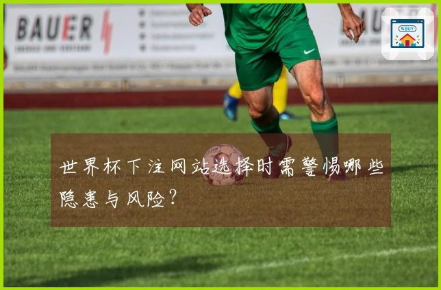 世界杯下注网站选择时需警惕哪些隐患与风险？