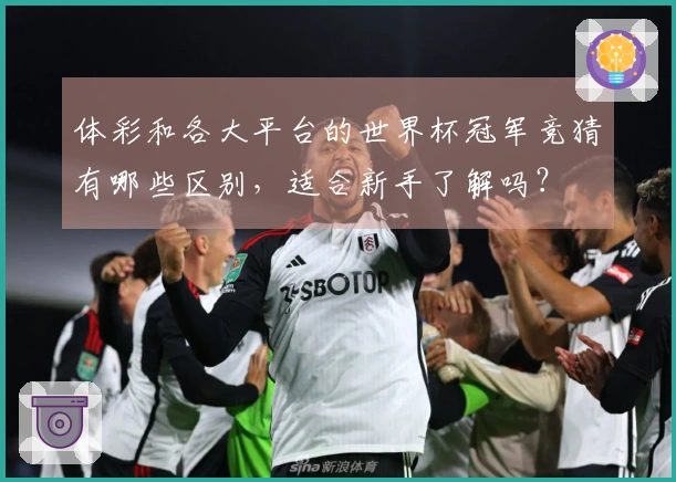 体彩和各大平台的世界杯冠军竞猜有哪些区别，适合新手了解吗？