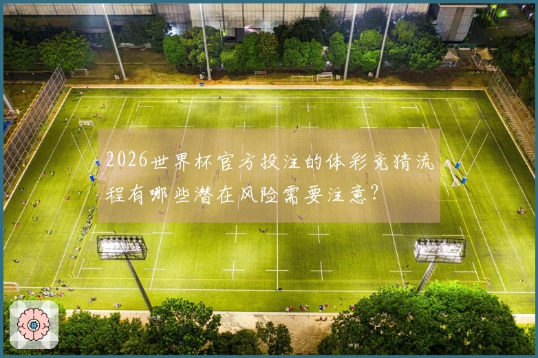 2026世界杯官方投注的体彩竞猜流程有哪些潜在风险需要注意？