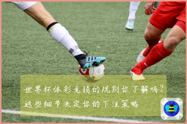 世界杯体彩竞猜的规则你了解吗？这些细节决定你的下注策略