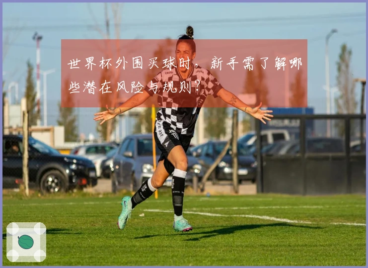 世界杯外围买球时，新手需了解哪些潜在风险与规则？