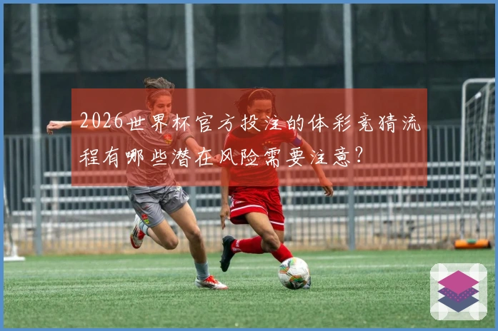 2026世界杯官方投注的体彩竞猜流程有哪些潜在风险需要注意？