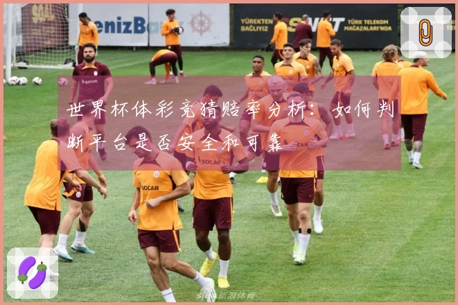 世界杯体彩竞猜赔率分析：如何判断平台是否安全和可靠