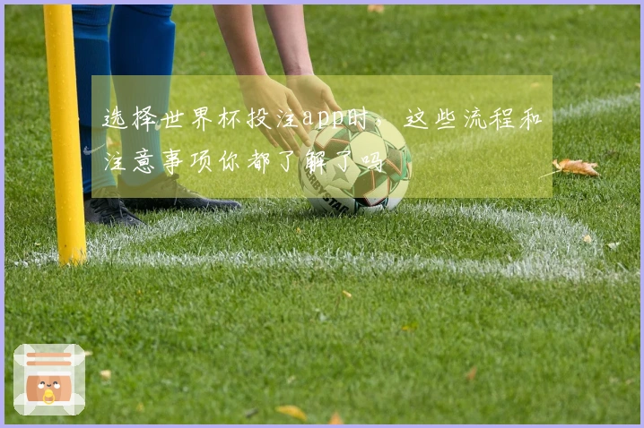 选择世界杯投注app时，这些流程和注意事项你都了解了吗