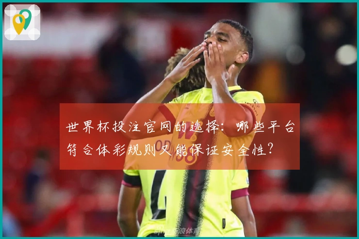 世界杯投注官网的选择：哪些平台符合体彩规则又能保证安全性？