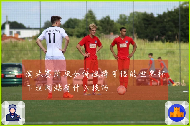 淘汰赛阶段如何选择可信的世界杯下注网站有什么技巧