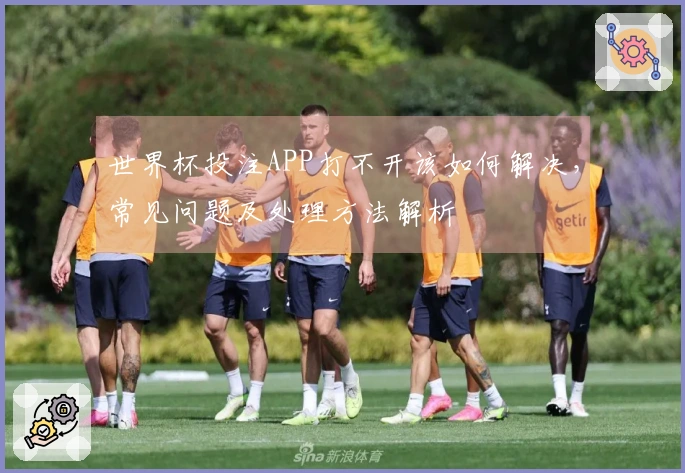 世界杯投注APP打不开该如何解决，常见问题及处理方法解析