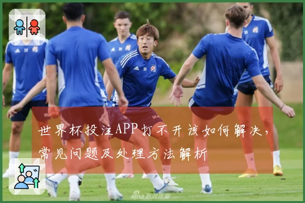 世界杯投注APP打不开该如何解决，常见问题及处理方法解析