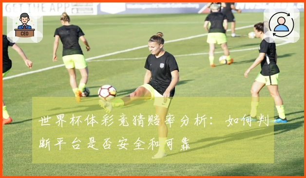 世界杯体彩竞猜赔率分析：如何判断平台是否安全和可靠