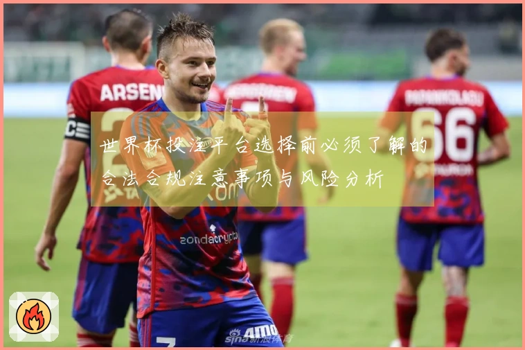 世界杯投注平台选择前必须了解的合法合规注意事项与风险分析