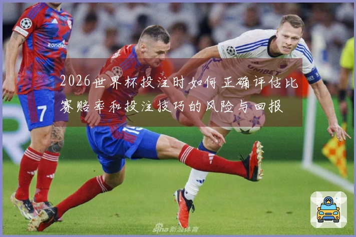 2026世界杯投注时如何正确评估比赛赔率和投注技巧的风险与回报