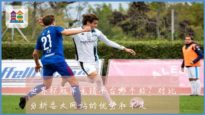世界杯冠军竞猜平台哪个好？对比分析各大网站的优势和不足