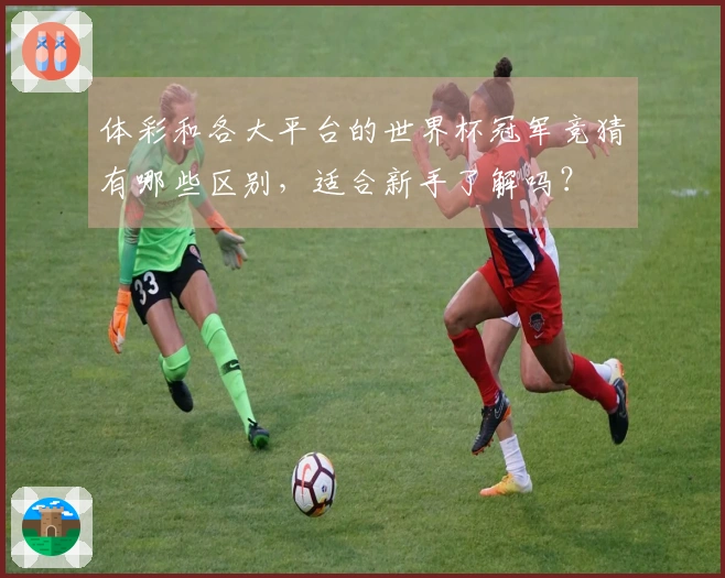 体彩和各大平台的世界杯冠军竞猜有哪些区别，适合新手了解吗？
