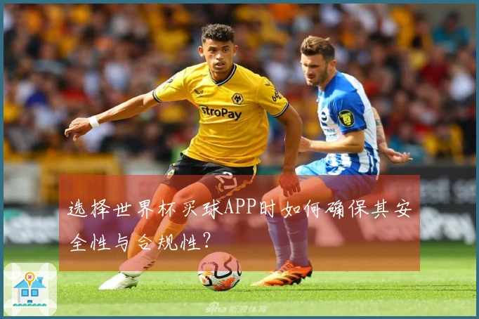 选择世界杯买球APP时如何确保其安全性与合规性？